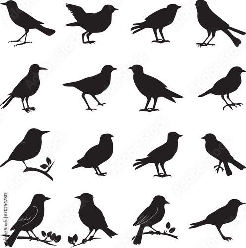 Bird s black silhouettes set. bird silhouettes on white background