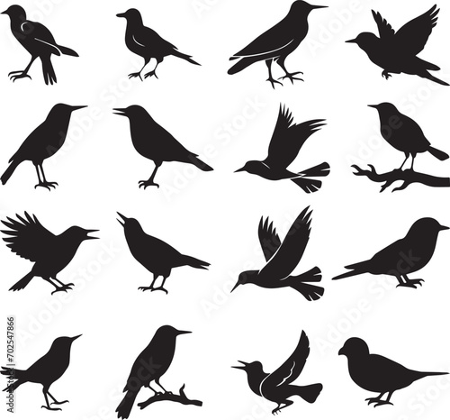 Bird s black silhouettes set. bird silhouettes on white background