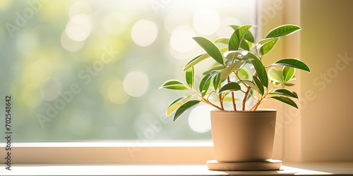 a green plant sits on a window sill  in the style of focus stacking  bright luster  generative AI