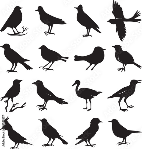 Bird s black silhouettes set. bird silhouettes. isolated on white background