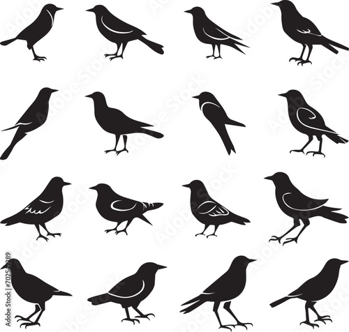 Bird's black silhouettes set. bird silhouettes. isolated on white background