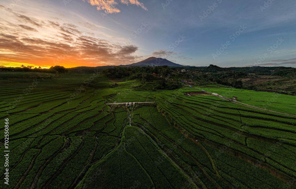 Beautiful terrace of Union Field in Argapura, Majalengka, West Java, Indonesia. 