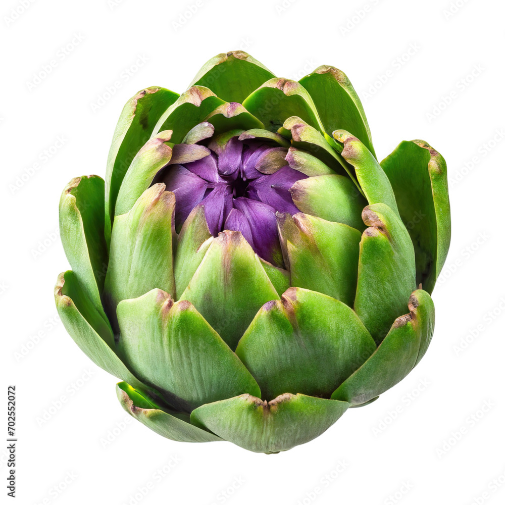 Fototapeta premium Floating Green Artichoke With A Purple Center