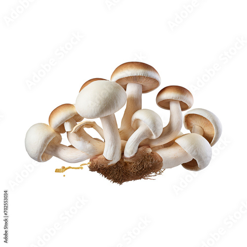 Floating Bunch Of Mushroom With A Brown Cap, Without Shadow, Blank White Isolated Background