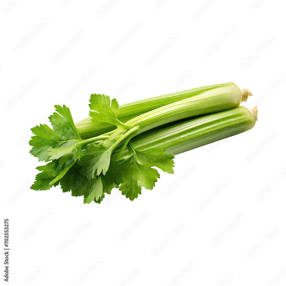Fresh Green Leaf Stalks Of Celery, Without Shadow, solated Background Fresh Green Leaf Stalks Of Celery, Without Shadow, solated Background