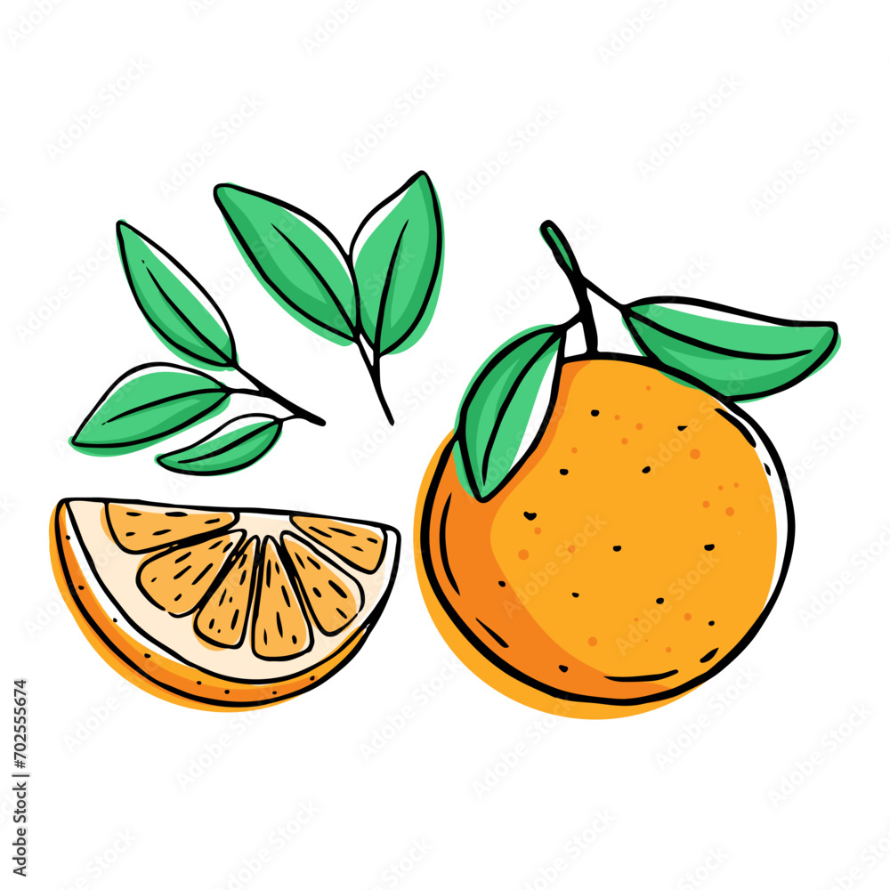orange fruit collection with hand drawn style on white background orange fruit collection with hand drawn style on white background