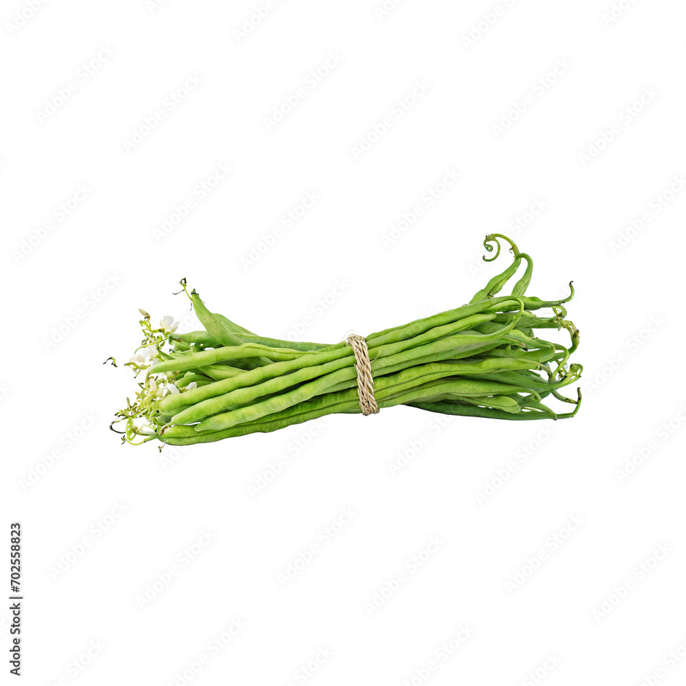 Bunches Of Fresh Long Beans, Without Shadow, Isolated Transparent Background Bunches Of Fresh Long Beans, Without Shadow, Isolated Transparent Background