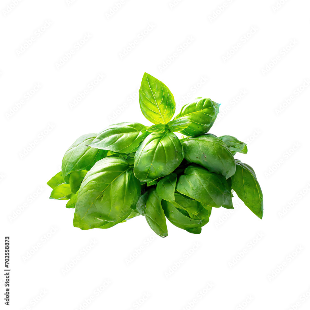 Fototapeta premium Floating Bunch Of Fresh Green Basil Leaves, Isolated Transparent Background