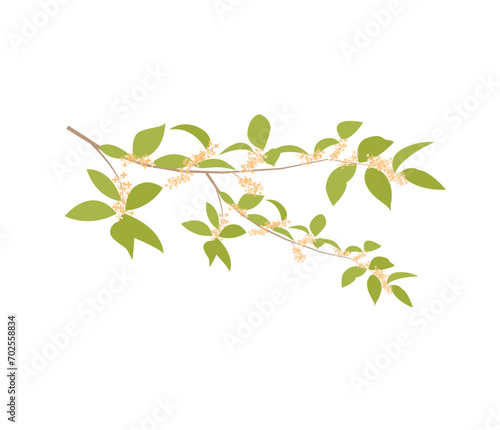 Asian floral traditional wallpaper. Chinese floral print. Blossoming osmanthus fragrans. Oriental vector illustration.
