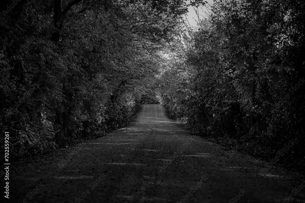 Naklejka premium Country Road B&W