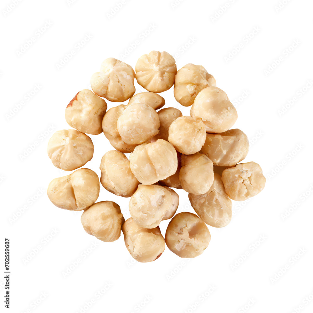 A Natural Candlenut, Without Shadow, Isolated Transparent Background A Natural Candlenut, Without Shadow, Isolated Transparent Background
