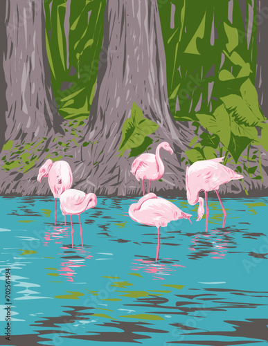 WPA poster art of a group of flamingo or flamboyance in Everglades National Park in Florida, United States USA done in works project administration or Art Deco style.

