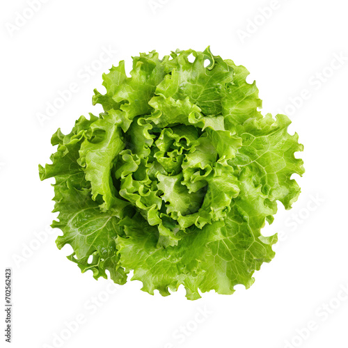 Floating Of One Fresh Green Lettuce, Without Shadow, Isolated Transparent Background