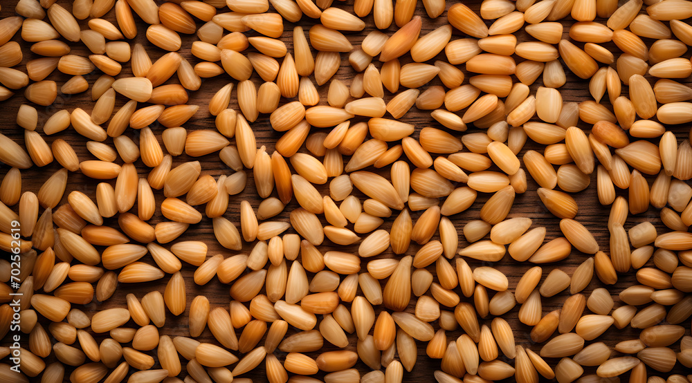 Pine Nuts Texture Close-Up: A dense texture of fresh pine nuts with a golden hue Pine Nuts Texture Close-Up: A dense texture of fresh pine nuts with a golden hue