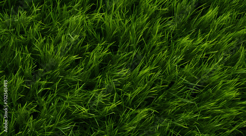 Verdant Greenery: Close-up a detailed view of lush green grass texture