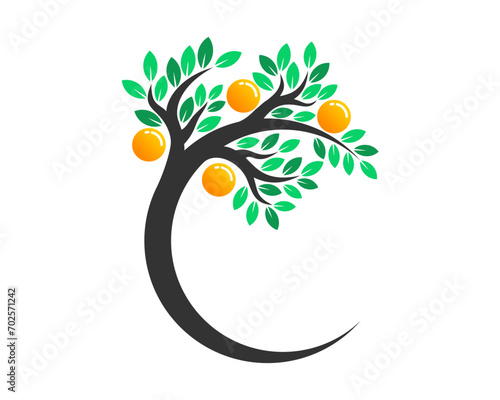 letter C orange tree with fruits