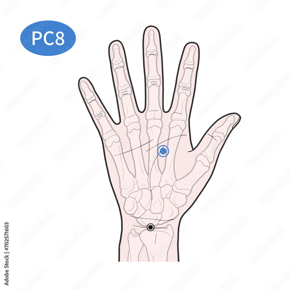 Obraz premium 노궁 경혈 경락 혈자리 일러스트