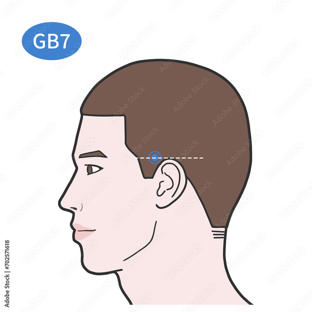 곡빈혈 경혈 경락 혈자리 일러스트 Stock Illustration | Adobe Stock