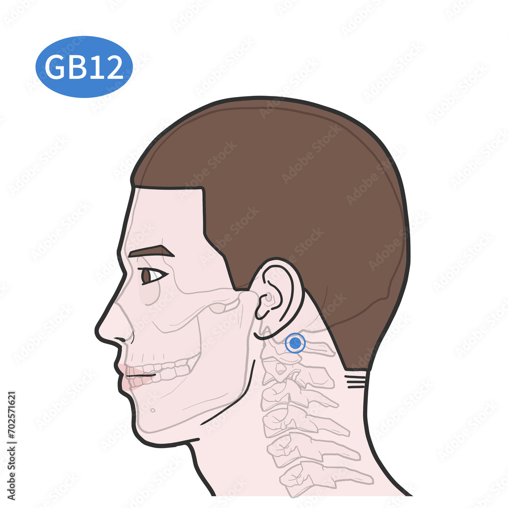 완골혈 경혈 경락 혈자리 일러스트 완골혈 경혈 경락 혈자리 일러스트