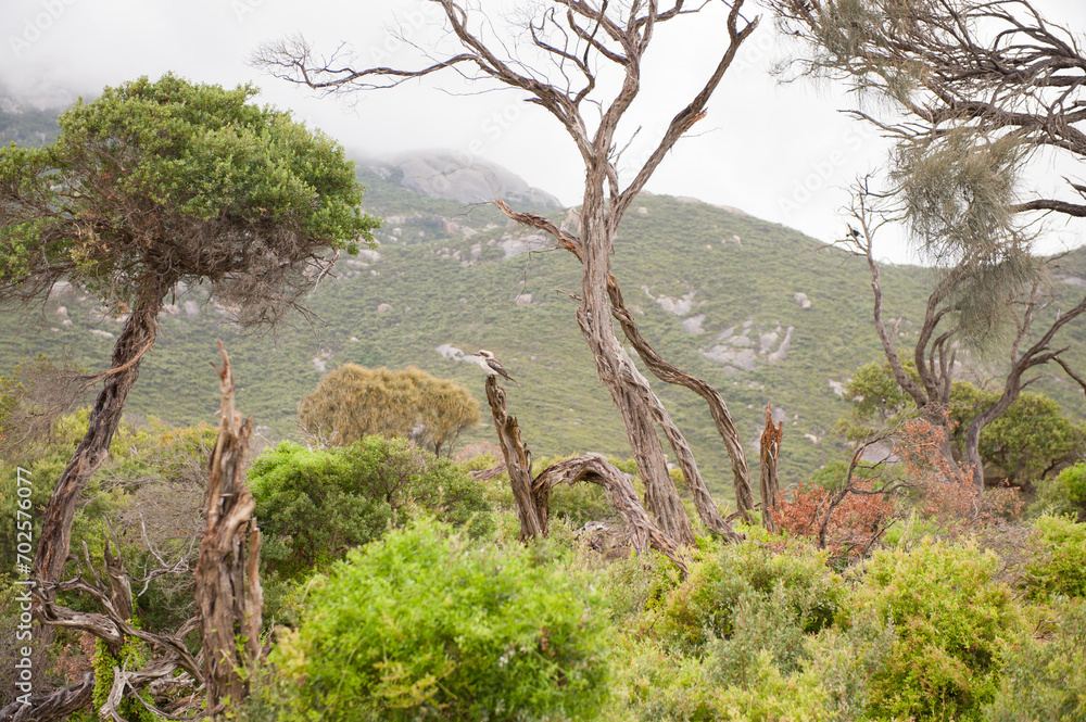 Fototapeta premium Wilsons Promontory National Park