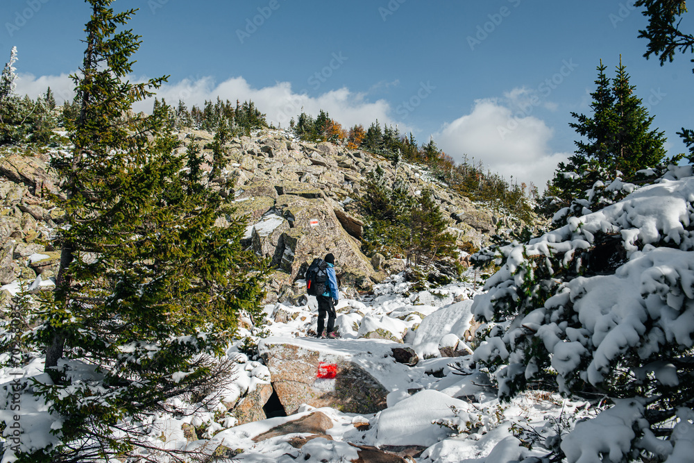 a girl walks through the autumn mountains dusted with the first snow