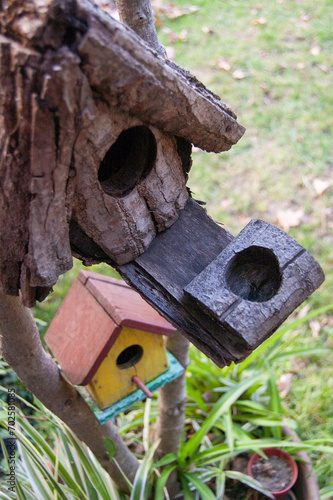 Close up view of wooden birdhouses on the tree.