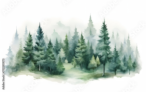 Foggy Winter Hill Landscape in a Green Forest Setting Isolated on white © MAJGraphics