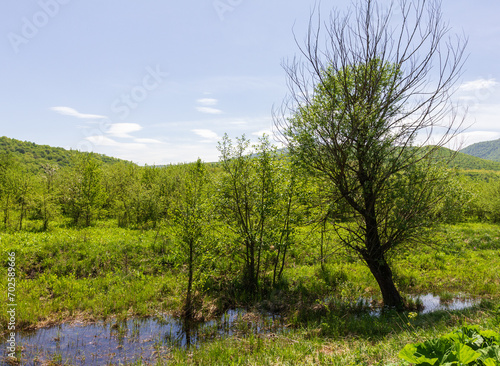 Bild auf Leinwand Mountain lakes - sources, springs of clean drinking water in nature, spring walks in the bosom of nature