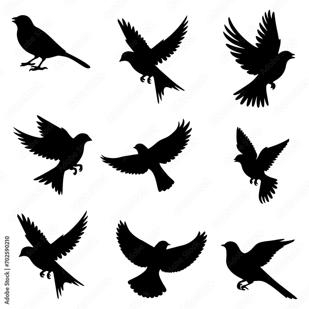vector illustration. silhouettes of different birds in flight vector illustration. silhouettes of different birds in flight