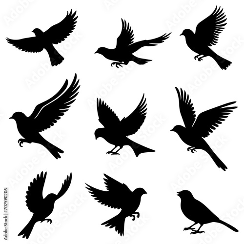 vector illustration. silhouettes of different birds in flight