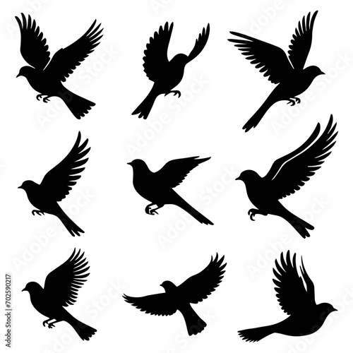 vector illustration. silhouettes of different birds in flight