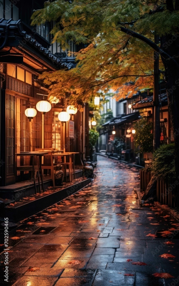 Photograph of a hushed Japanese street at night