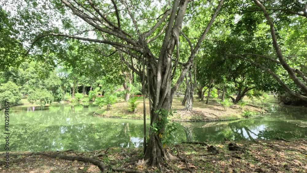 Serene Lakeside Park Panorama