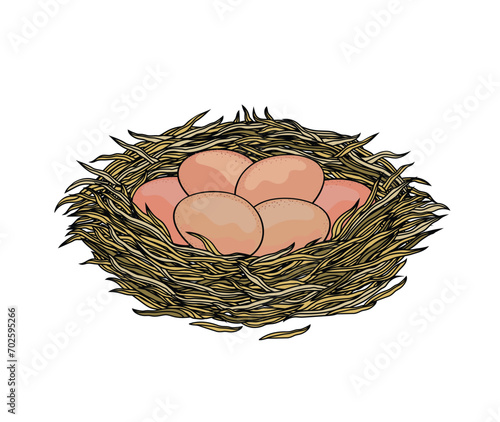 Vector illustration of a nest with eggs