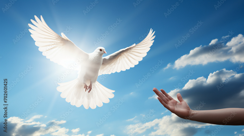 The hand is stretched out in the sky toward a white bird