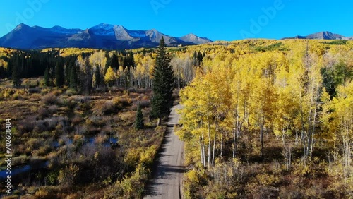 Stunning bright bluebird sunny sunrise morning autumn Aspen tree forest fall golden yellow colors Kebler Pass aerial cinematic drone Crested Butte Gunnison Colorado Rocky Mountains road trail forward photo