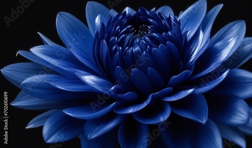 Surreal dark chrome blue flower dahlia macro isolated on black from AI Generative