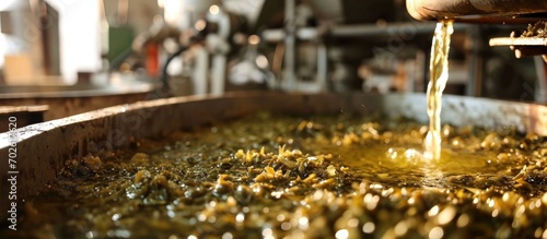 Greek olive oil extraction process. photo