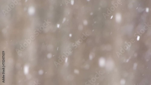 冬の森に降る雪。背景のボケ。