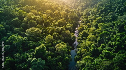 Cinematic, Aerial Photography, dense Amazon Rainforest, tropical wet climate, rich greens of the canopy, winding rivers, biodiversity hotspot.