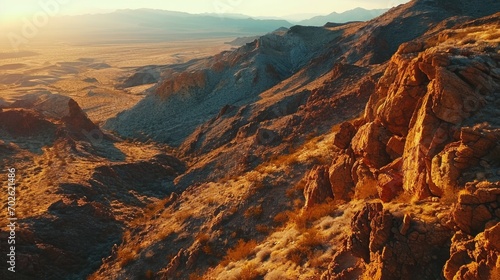 Aerial Photography, bird's-eye view of the Mojave Desert, late afternoon,diverse desert landscape, deep oranges and browns, cacti and rock formations.