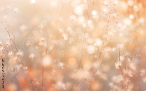Blurred soft background with flowers and sun glare and bokeh. Peach fuzz background. Shiny summer or spring mood background