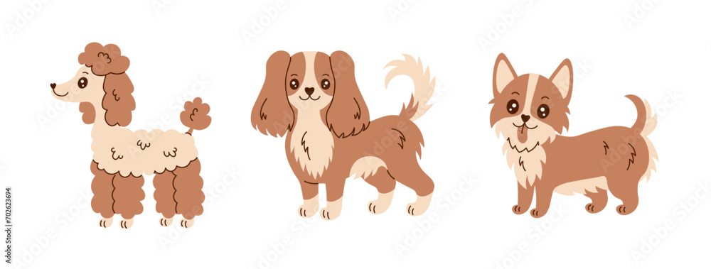 Obraz premium Cute dogs vector set. Funny hand drawn puppies collection. Poodle, Cavalier King Charles Spaniel and Welsh Corgi breeds illustrations on white background.