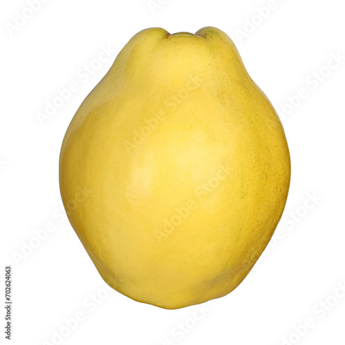 Single quince isolated on white, delicious whole quince, isolated background, png isolated. photo