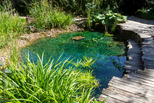 Ecosystème et zone humide - création d'une mare entourée de plantes et d'une terrasse en bois dans un jardin naturel