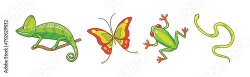 Fototapeta Naklejka Na Ścianę i Meble -  Tropical Chameleon, Frog, Butterfly and Snake Vector Set
