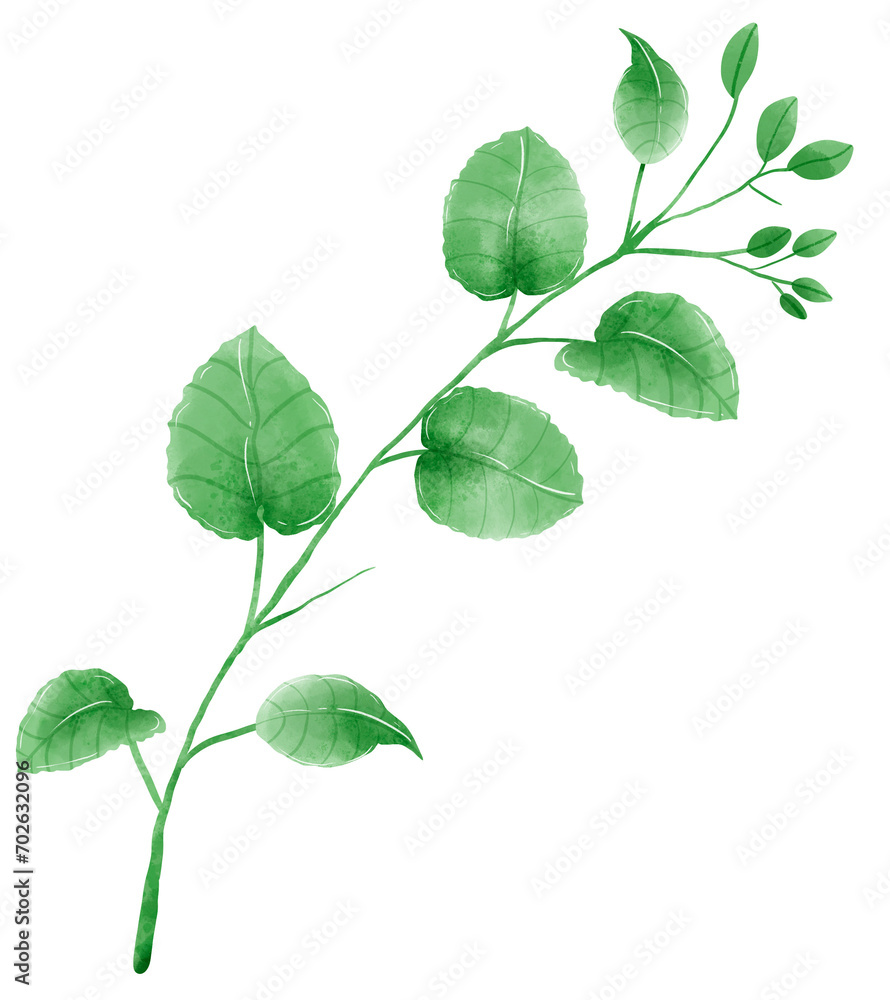 Fototapeta premium Watercolor hand drawn illustration leaves and branch for wedding invitation bridal shower greeting card