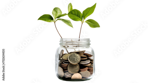 Plant growing from coins in glass jar isolated on transparent and white background.PNG image. photo