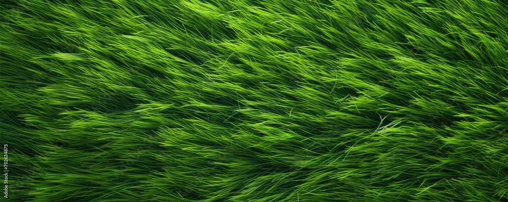 Green grass top view. Grass or lawn wide banner or panorama photo Green grass top view. Grass or lawn wide banner or panorama photo