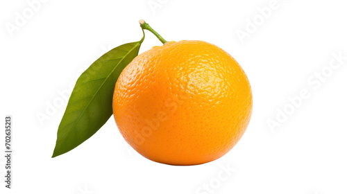 One orange isolated on transparent and white background.PNG image.